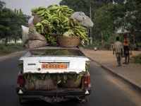 bananen transport