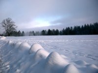 schnee lauterbad 2010